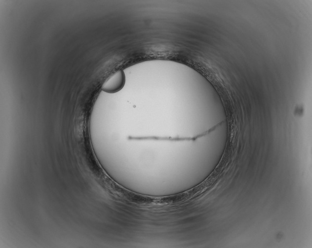 X0000097460647200802220807