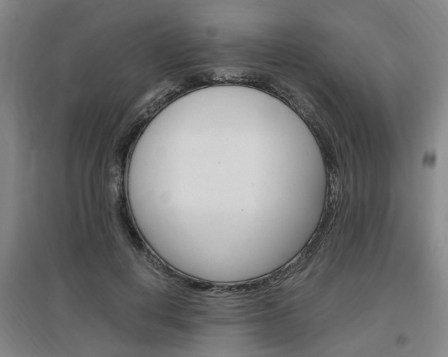 X0000097460648200802220807