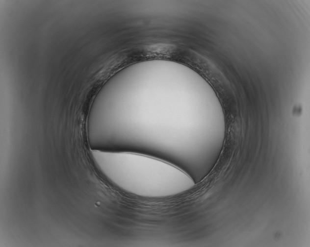 X0000097460649200802220807