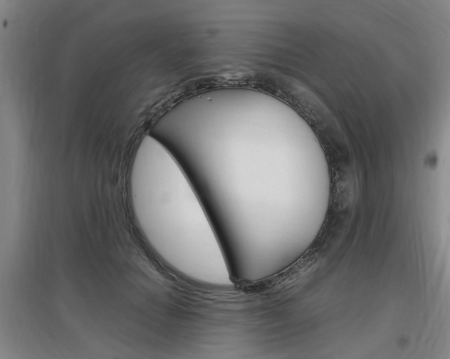 X0000097460654200802220807
