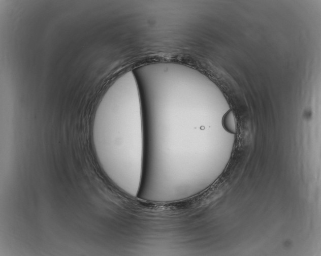 X0000097460656200802220808
