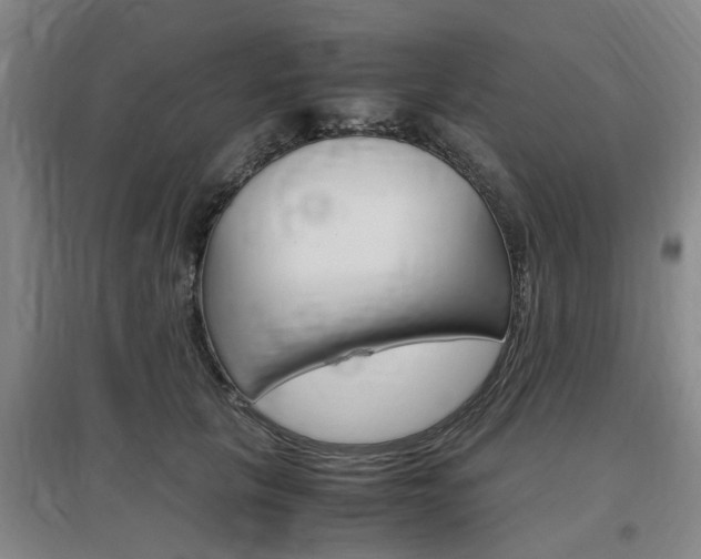 X0000097460657200802220808