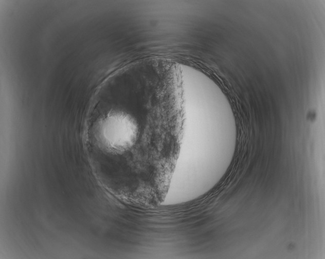 X0000097460658200802220808