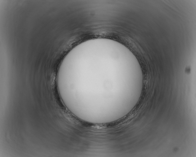 X0000097460660200802220808