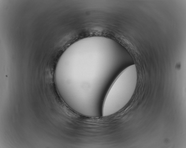 X0000097460661200802220808