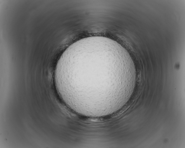X0000097460662200802220808