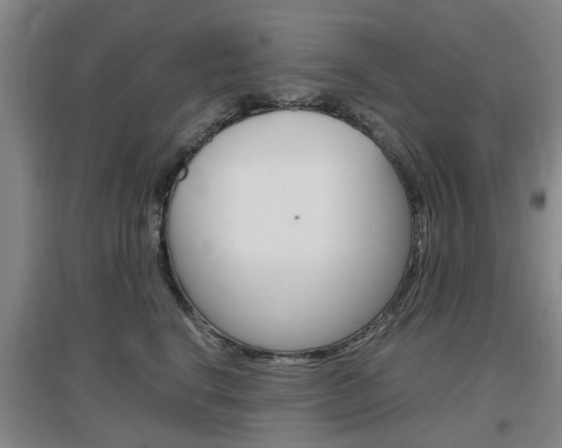 X0000097460664200802220808