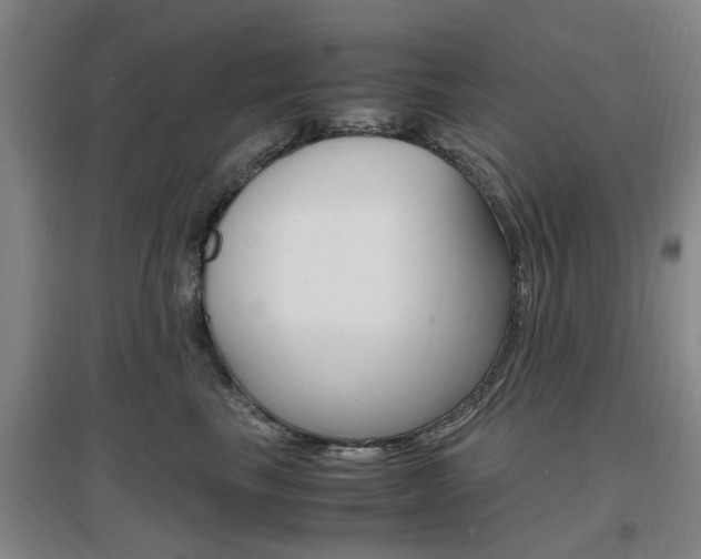 X0000097460665200802220808