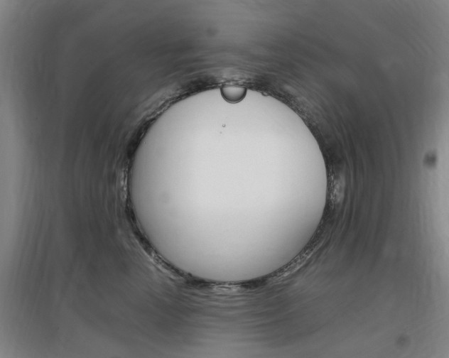 X0000097460666200802220808
