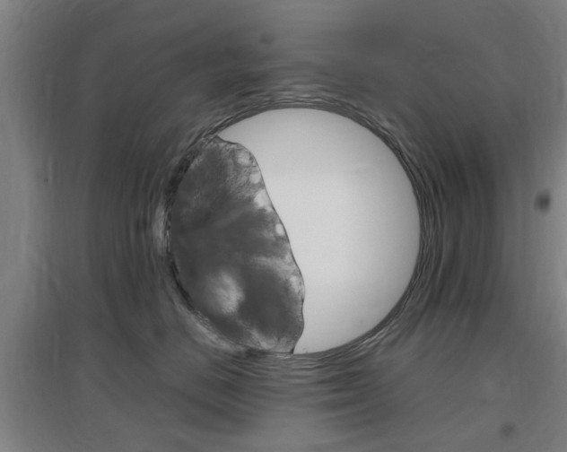 X0000097460670200802220808