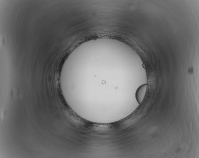 X0000097460671200802220808