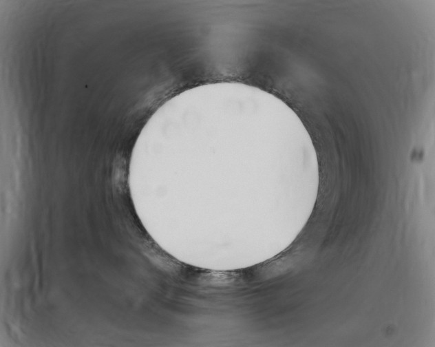X0000097460672200802220808