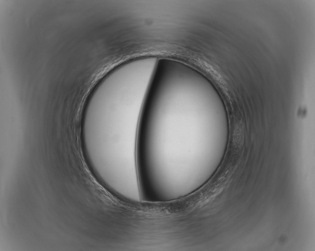 X0000097460673200802220807