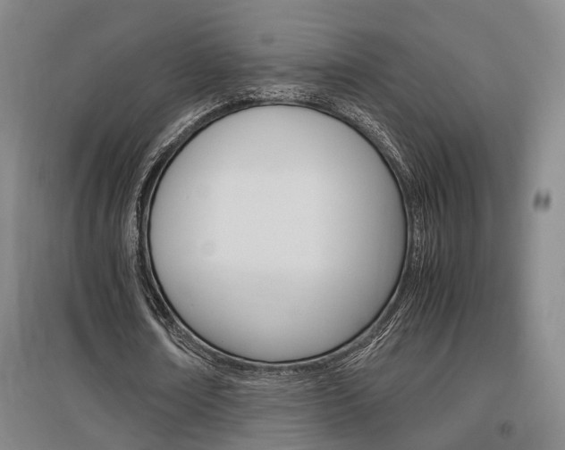 X0000097460674200802220807