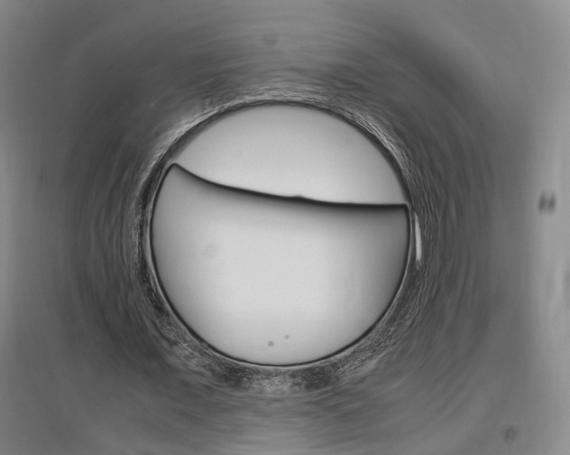 X0000097460675200802220807