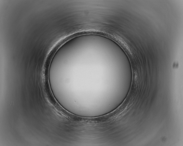 X0000097460676200802220807