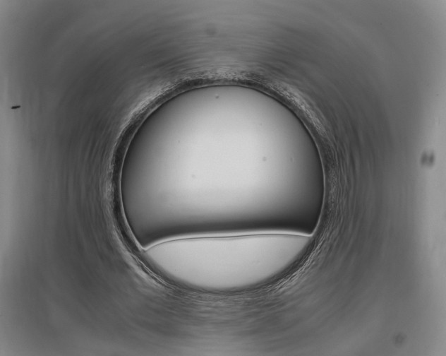 X0000097460677200802220807