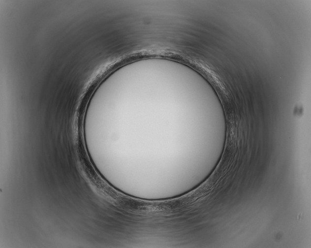 X0000097460678200802220807