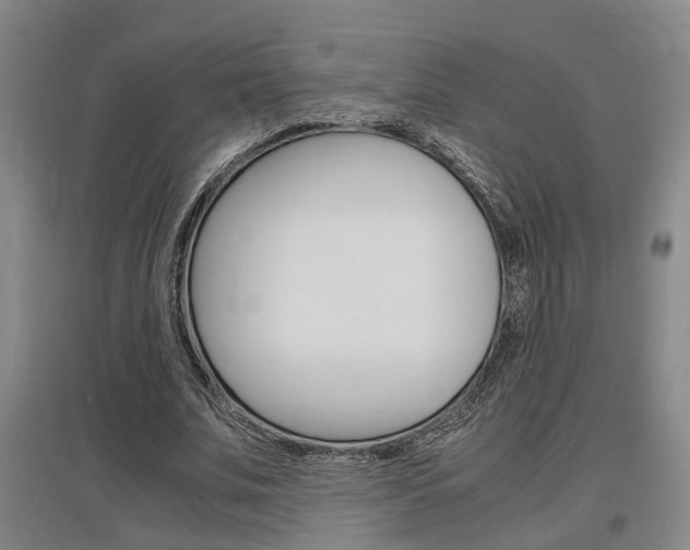 X0000097460679200802220807