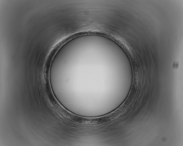 X0000097460680200802220807