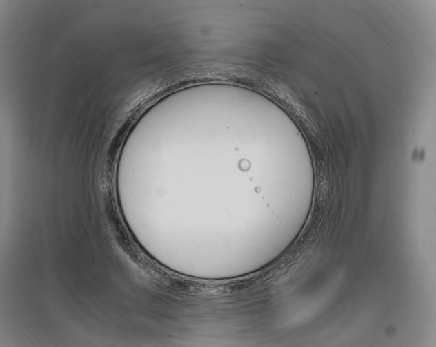 X0000097460683200802220807