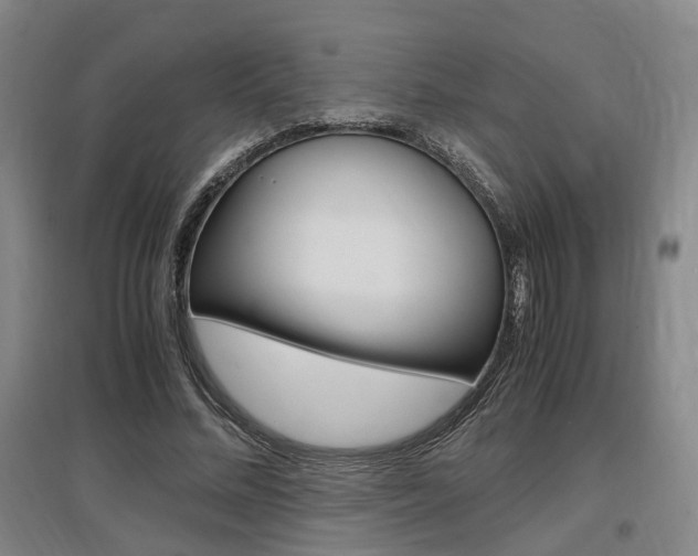 X0000097460684200802220807