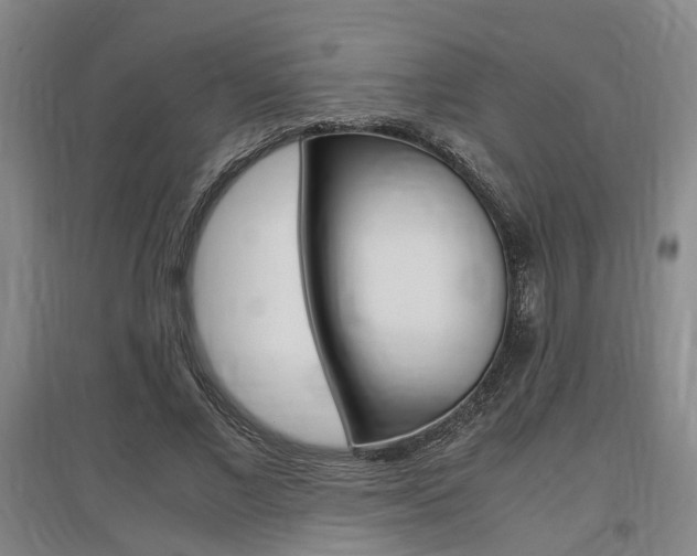 X0000097460685200802220807