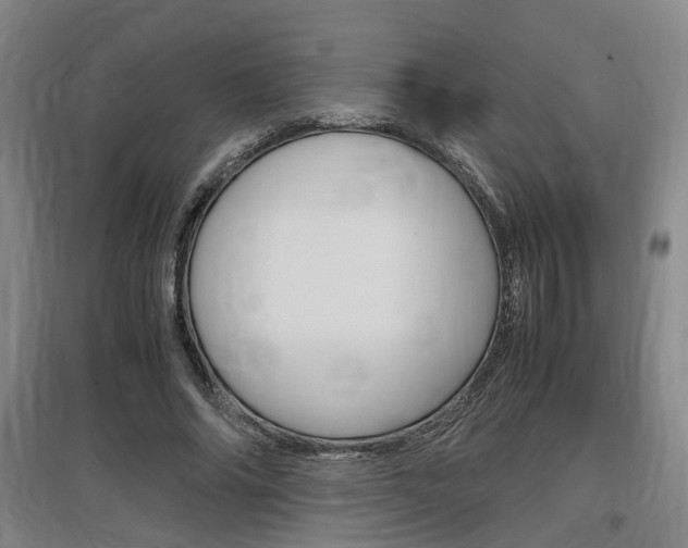 X0000097460686200802220807