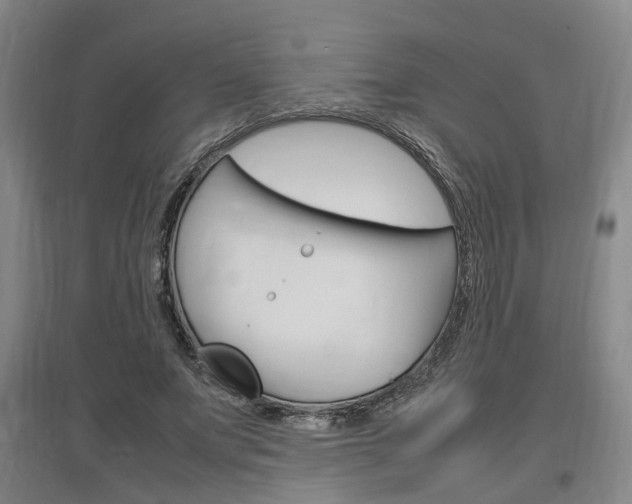 X0000097460687200802220807
