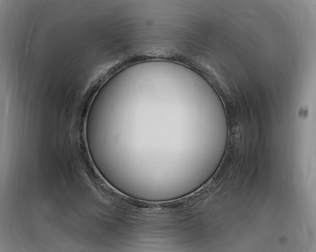 X0000097460688200802220807