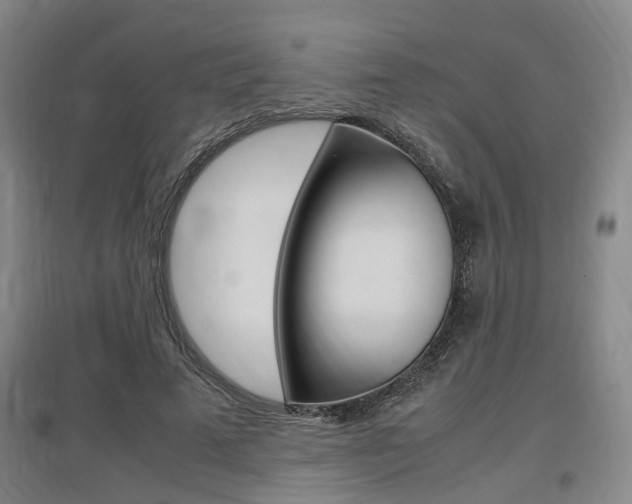 X0000097460689200802220807