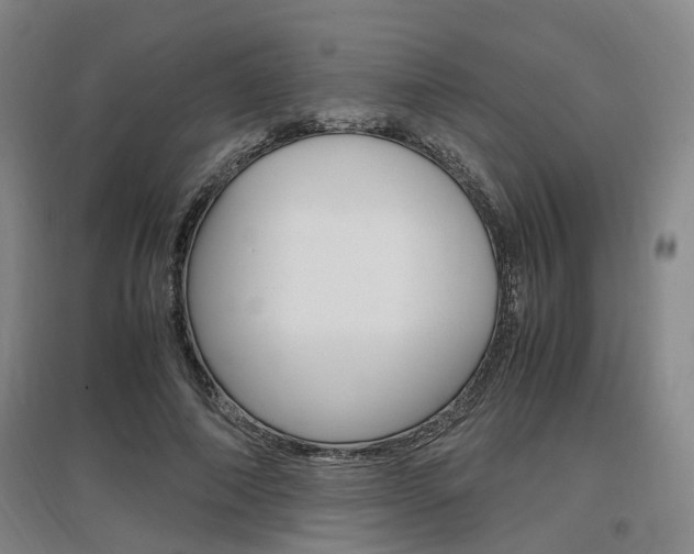 X0000097460690200802220807