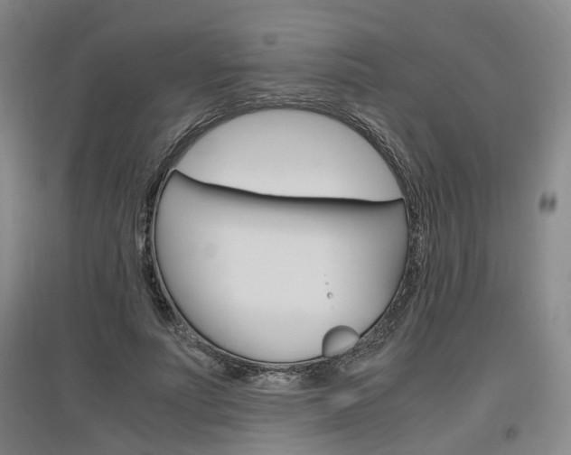 X0000097460691200802220807