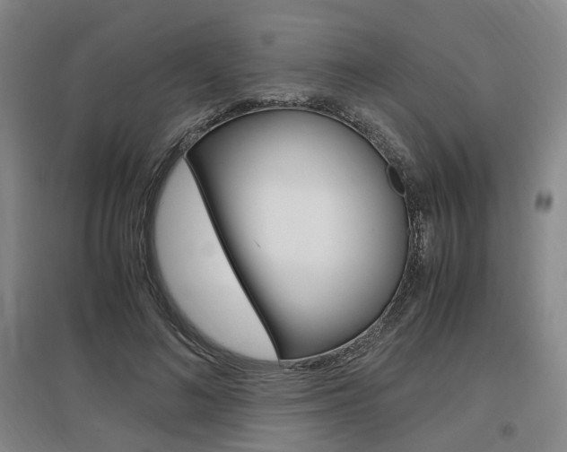X0000097460692200802220807