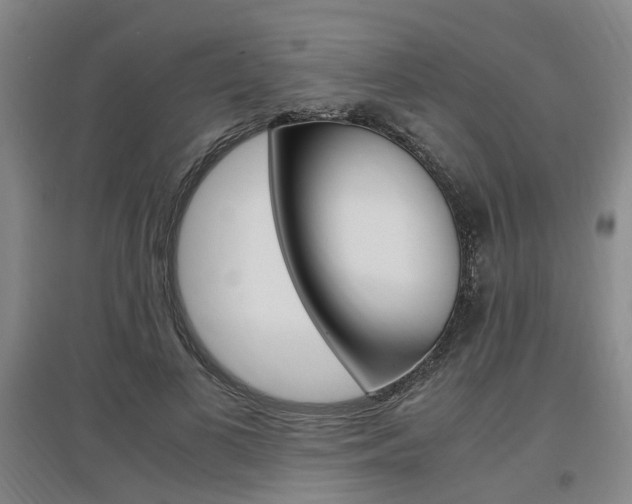 X0000097460693200802220807