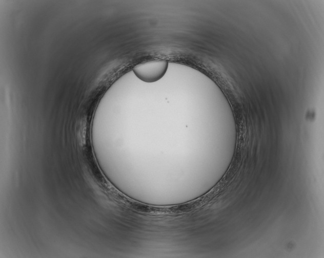 X0000097460694200802220807