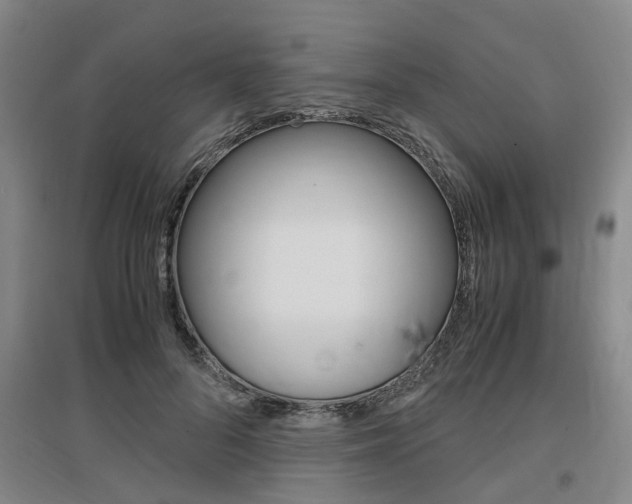 X0000097460696200802220807