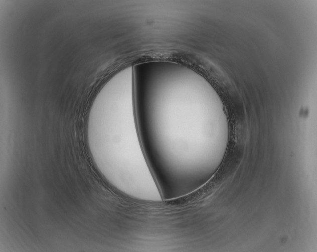 X0000097460697200802220807
