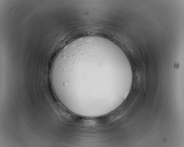 X0000097460698200802220807