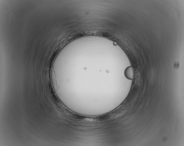 X0000097460699200802220807