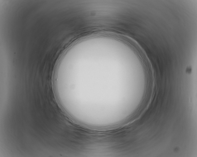 X0000097460701200802220807