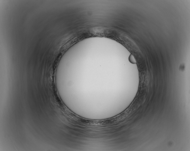 X0000097460702200802220807