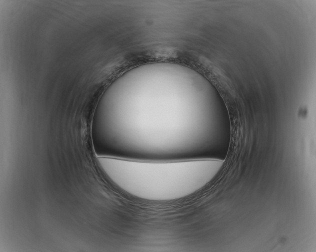 X0000097460704200802220807