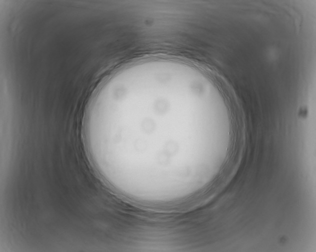 X0000097460705200802220807