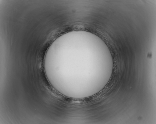 X0000097460706200802220807
