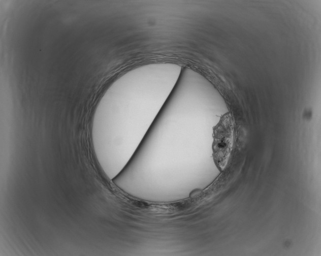 X0000097460707200802220807