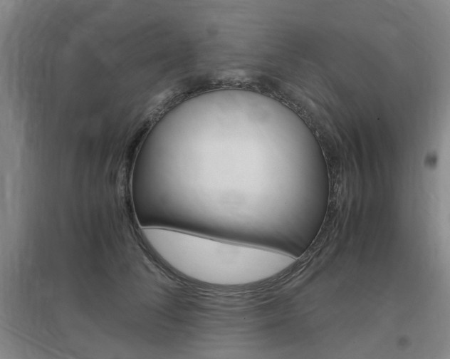 X0000097460708200802220807