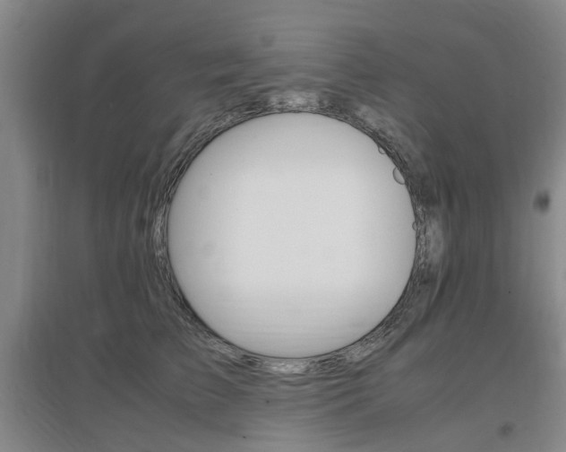 X0000097460709200802220807