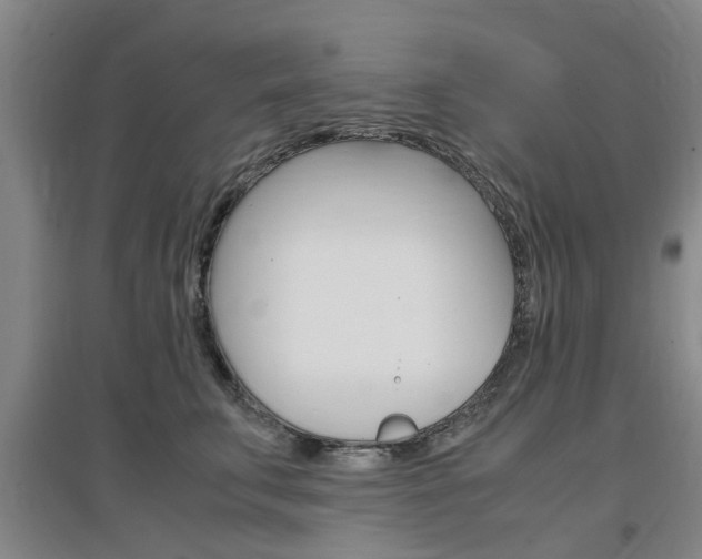 X0000097460711200802220807
