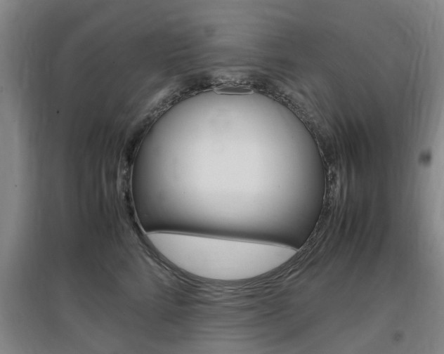 X0000097460712200802220807